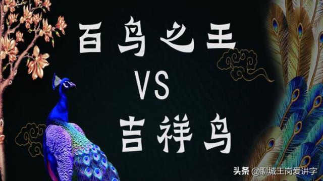 孔雀和凤凰的区别（凤凰和孔雀是一回事吗）