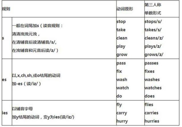 第三人称是什么（实义动词的单数第三人称形式）(2)