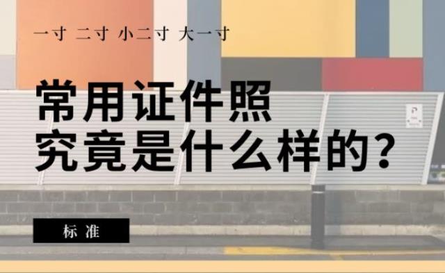 一寸证件照尺寸（常用证件照尺寸是什么样的）