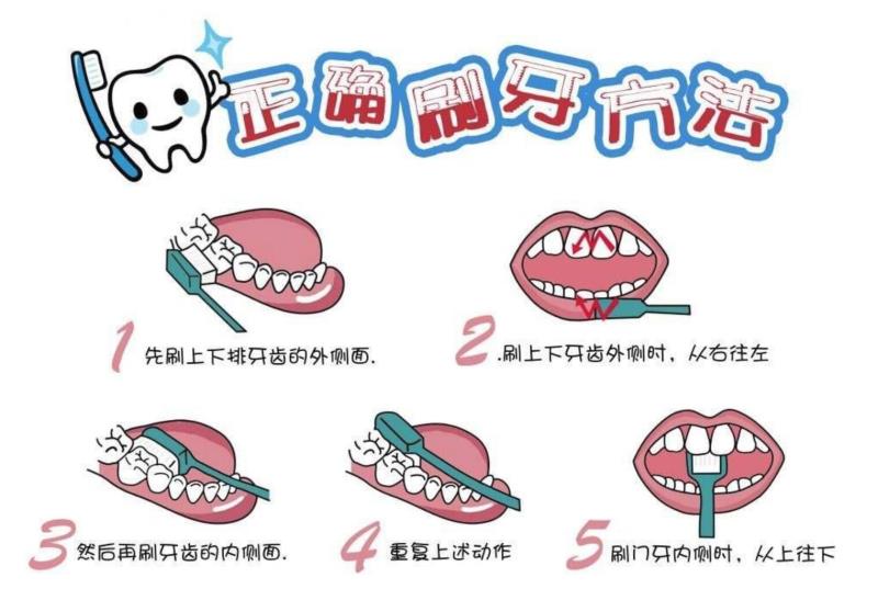 松下冲牙器哪个型号好用（松下冲牙器推荐）(1)
