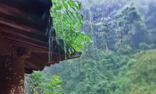 春雨图片（8首最美的春雨诗词）(8)