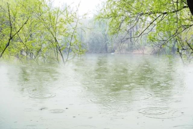 春雨图片（8首最美的春雨诗词）(9)