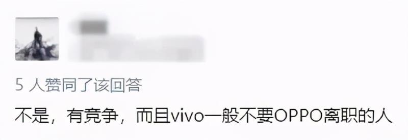 oppo和vivo什么关系（oppo和vivo品牌介绍）(16)