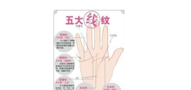 手掌纹路图解（掌纹的秘密全图解的含义介绍）(3)