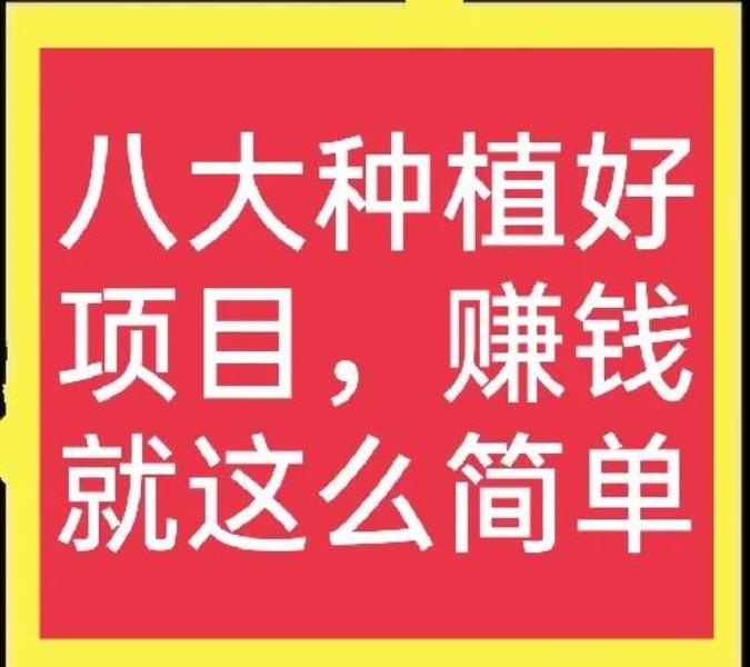 农村致富种值项目有哪些（适合穷人没本钱的养殖）(2)