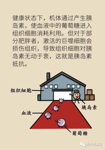 将军肚怎么减（科学方法教你减掉将军肚）(18)