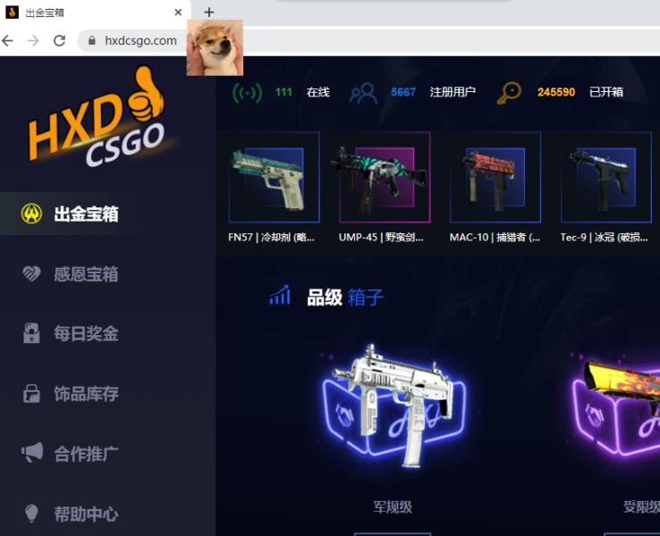 csgo装备为什么那么贵（csgo装备价格讲解）(2)