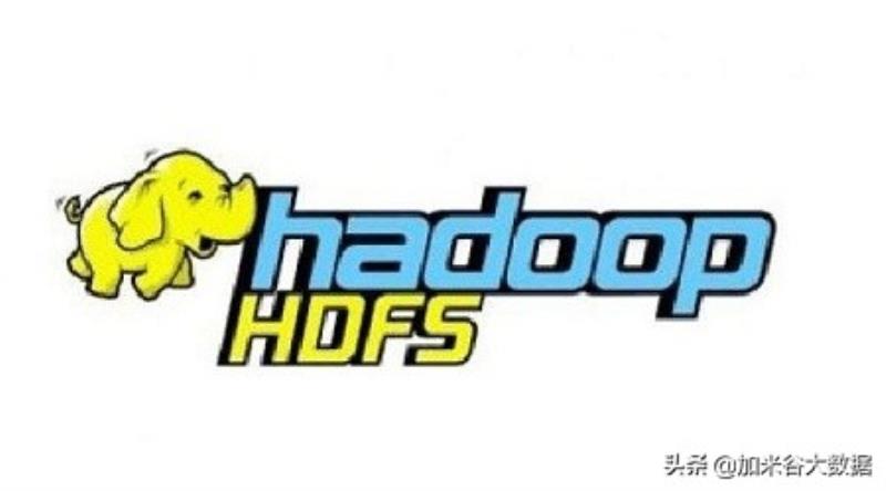 hadoop上传文件命令（hadoop菜鸟教程）