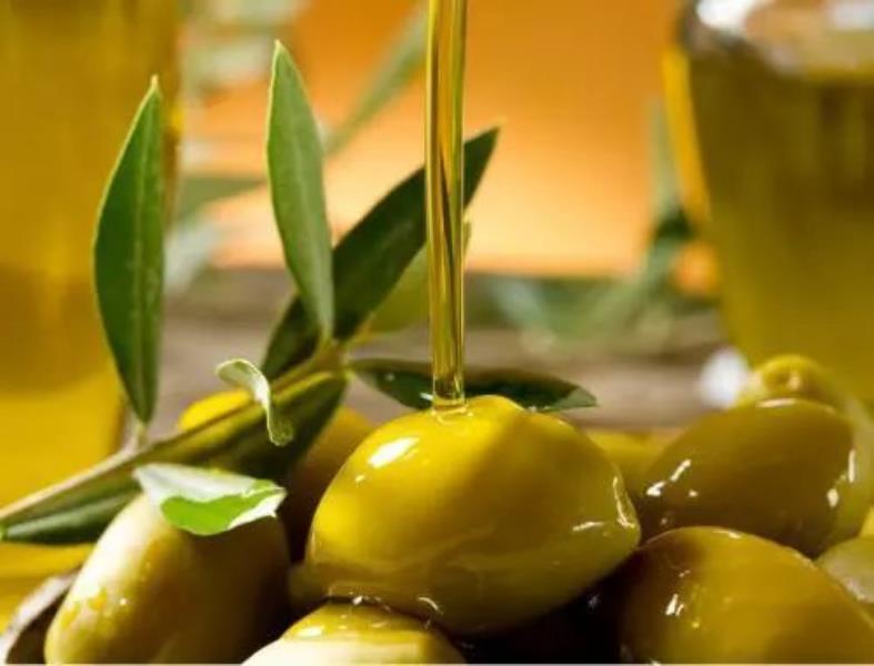 品利橄榄油质量怎么样（进口橄榄油品牌排行榜）(11)