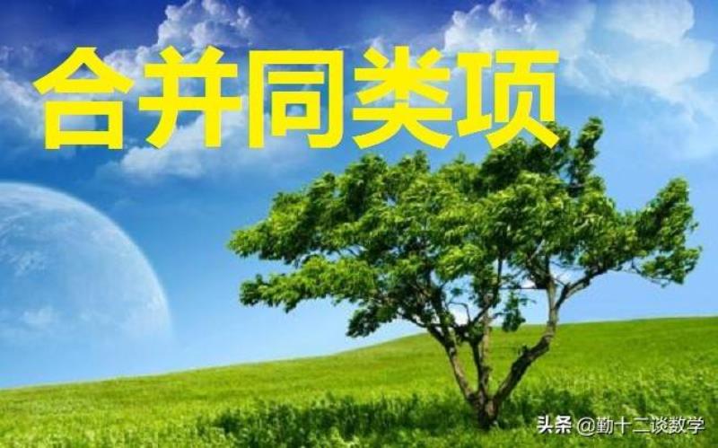 什么是同类项(合并同类项的定义和法则)(5)