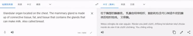 中英文翻译器在线翻译（免费的英语翻译器）(2)