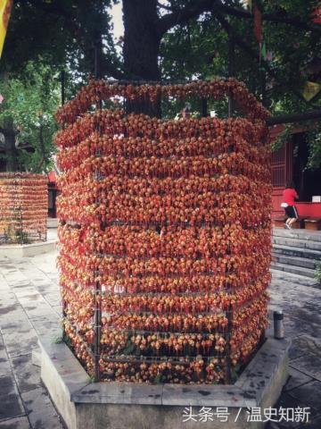 鸡鸣寺求什么灵（南京第一古寺——鸡鸣寺）(6)