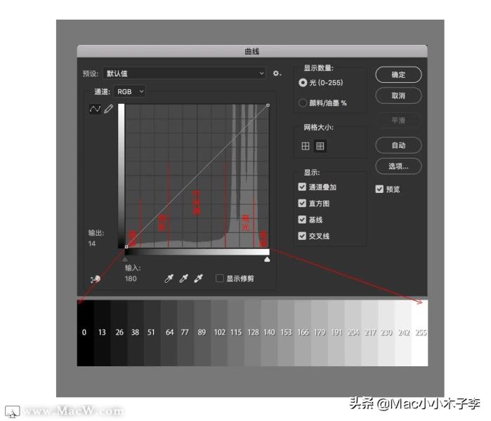 ps怎么画曲线路径（ps图片制作及详细步骤）(8)