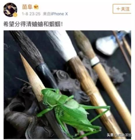 苗阜郭德纲互骂（郭德纲苗阜微博骂战）(2)