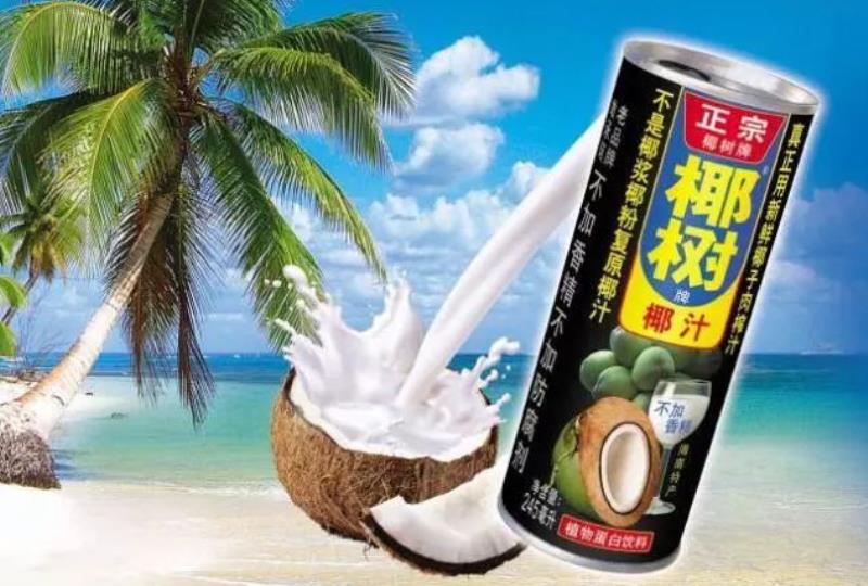 椰树牌椰子汁有哪些品牌（中国十大椰子汁品牌）(2)