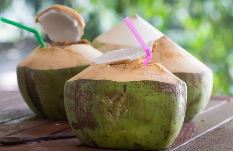 椰树牌椰子汁有哪些品牌（中国十大椰子汁品牌）(5)