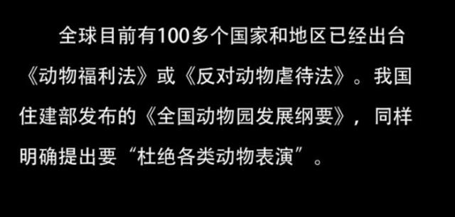 高跟鞋虐猫事件（泼硫酸、高跟鞋戳眼睛）(31)