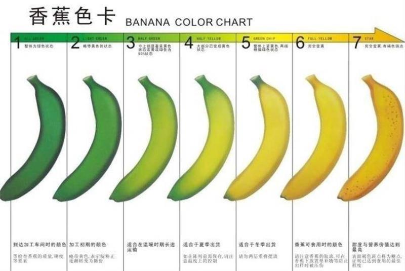 海信冰柜价格及图片（海信对开门冰箱价格介绍）(19)