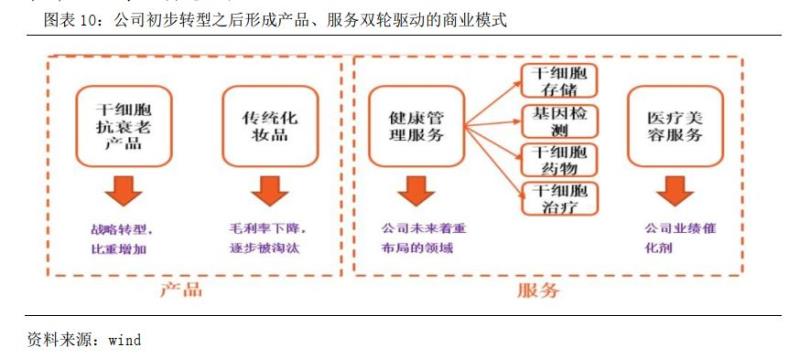 赛莱拉化妆品正品（赛莱拉的产品了解）(11)