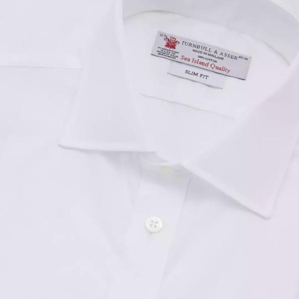 海岛棉衬衫品牌（海岛棉的优点和缺点）(18)