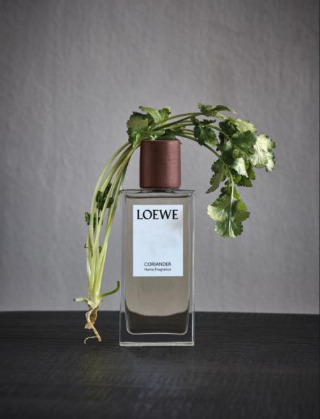 loewe香水是什么档次（loewe官网价格）(5)