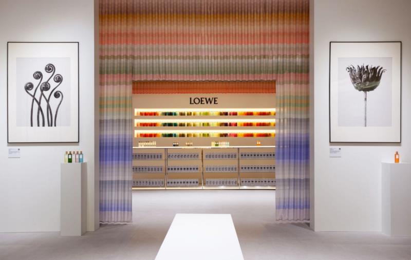 loewe香水是什么档次（loewe官网价格）(11)