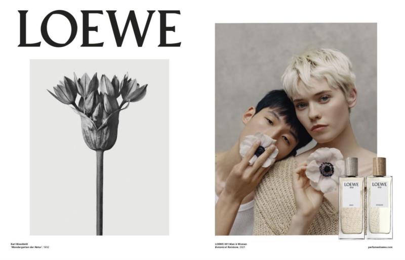 loewe香水是什么档次（loewe官网价格）(12)