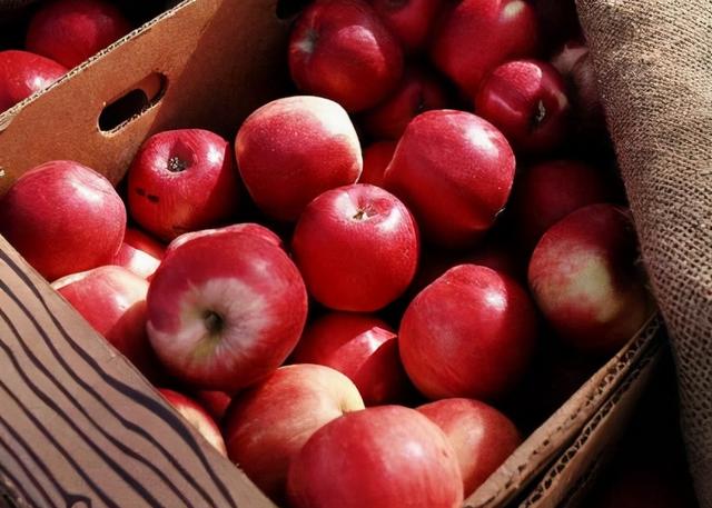 三天苹果减肥法如何进行，长期这样吃可以吗(1)