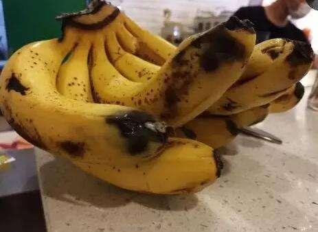 香蕉变黑怎么储存（香蕉容易腐烂吃不完就发黑）(5)