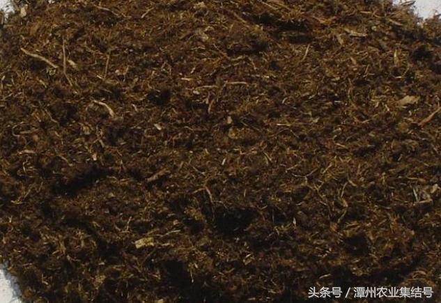 草炭土和泥炭土区别是什么（草炭土在农业上应用的正确姿势）(2)