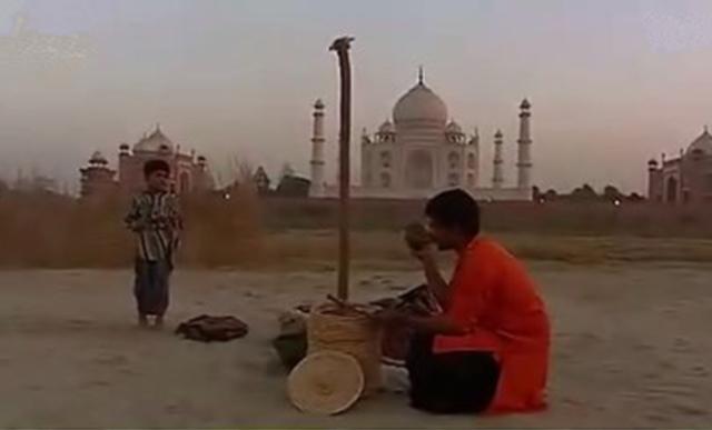 魔术揭秘失传已久的印度通天绳（印度最牛逼的魔术）(2)