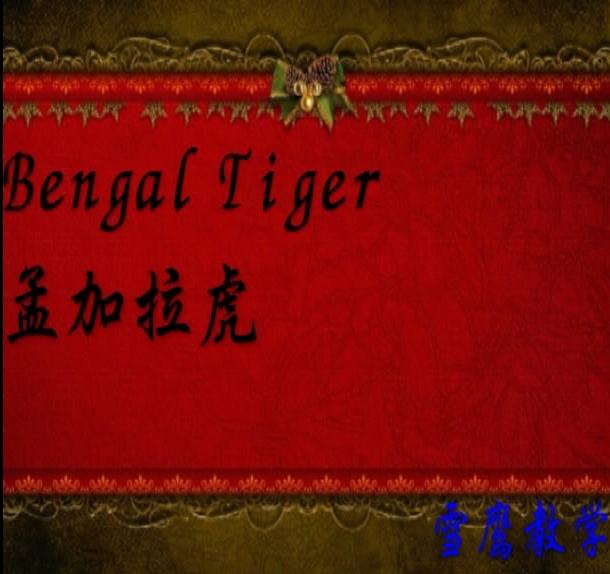跟老虎相关的英语单词和短语（跟老虎相关的英语单词和短语）(4)