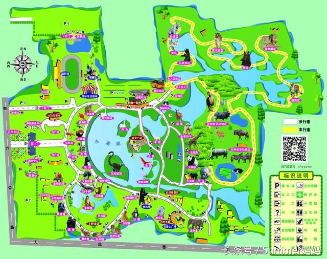 上海野生动物园一日游最佳路线（上海野生动物园游玩攻略）(3)