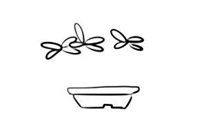怎么用简笔画浪漫和美丽的郁金香（多肉植物乙女心简笔画画法步骤）(2)
