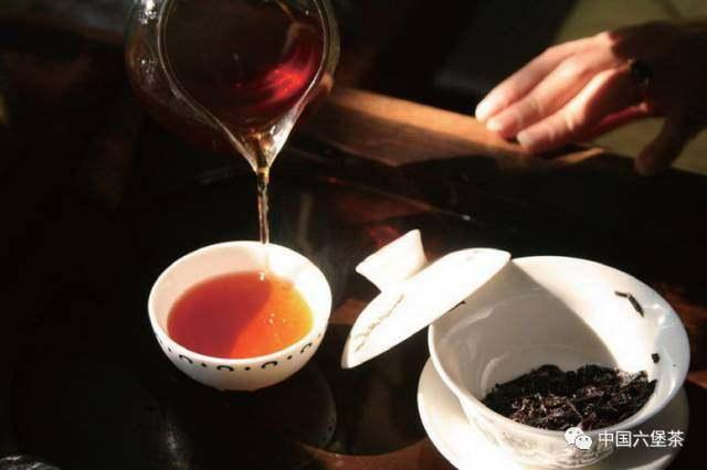 六堡黑茶的功效与作用（六堡茶的冲泡方法）(2)
