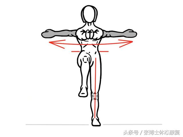 膝关节半月板损伤康复训练中年人（体态康复问答膝关节疼痛）(9)