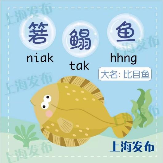 上海话说鱼怎么说（上海话中的各种）(6)
