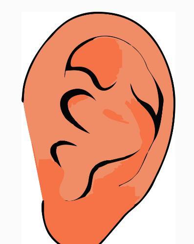 中耳炎会影响听觉吗（中耳炎会影响听力吗）(2)