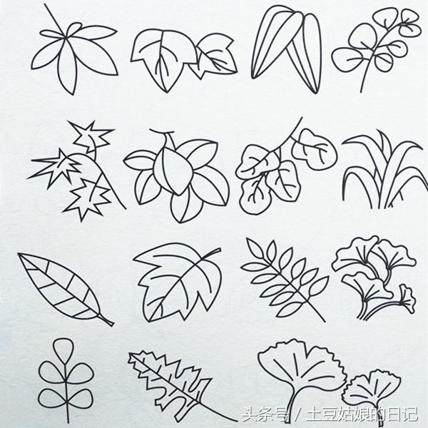 打扫树叶的小孩简笔画（土豆姑娘的日记008-儿童简笔画之树叶）(3)