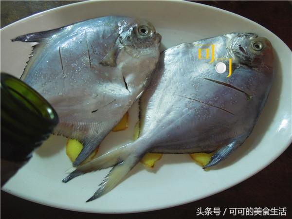 最简单的扇形清蒸鲳鱼做法（原汁原味的清蒸鲳鱼）(5)