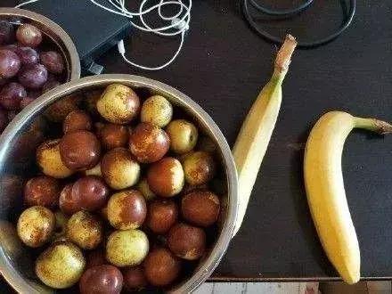 香蕉和脆枣一起吃会有臭味吗（听说香蕉和枣一起吃是屎味）(4)