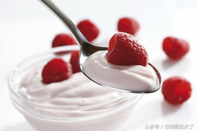 酸奶与风味发酵乳有什么区别（老酸奶风味酸奶）(2)