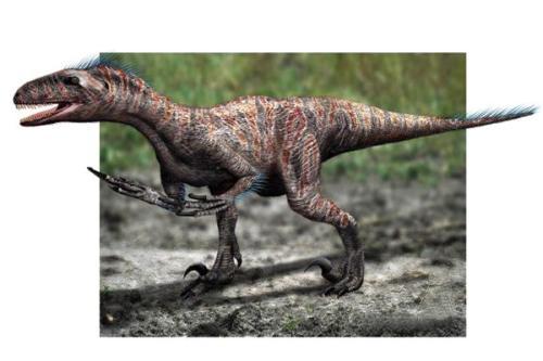 原角龙白垩纪草食恐龙（白垩纪新生的食草恐龙）(2)