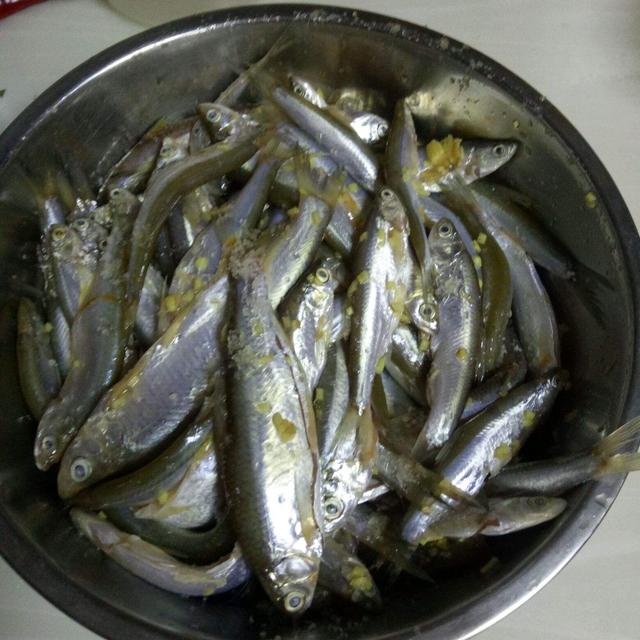 干煎小鱼哪种好吃（婆婆买了3块钱的小鱼）(2)