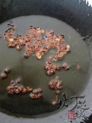 辣根菠菜拌毛蛤蜊做法（春天的味道菠菜粉丝拌毛蛤）(10)