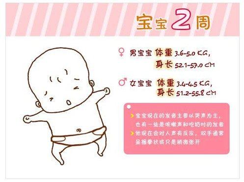 早产婴儿发育身高体重标准对照表（早产儿及足月儿生长发育测评表）(2)
