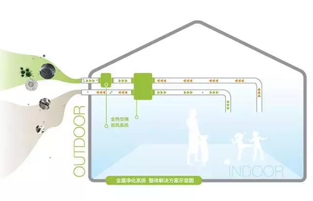 如何快速治理室内空气污染（装修后家里的空气污染指数爆表）(7)