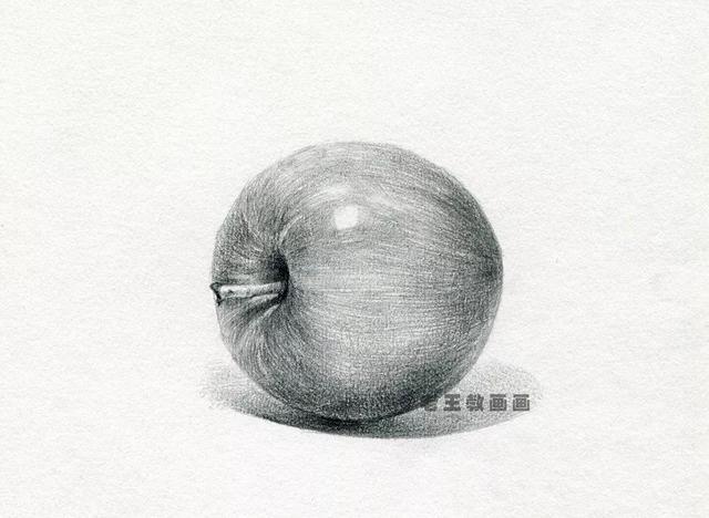 素描苹果的画法教程轮廓（素描苹果很难画）(2)