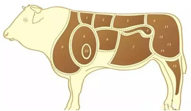 牛肉各部位吃法图解（牛肉部位分解与做法）(2)