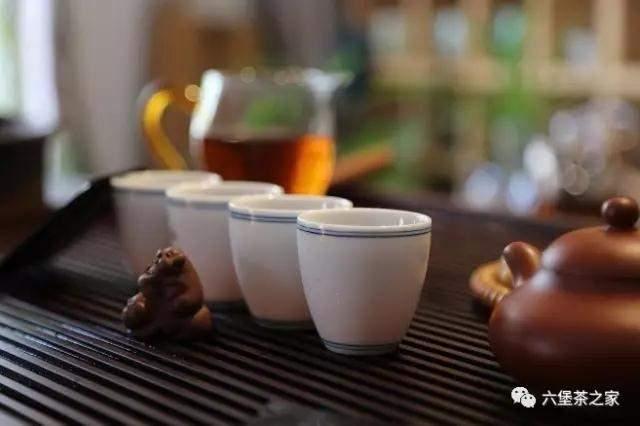 六堡茶的品鉴方法（小白品饮必须掌握的六大要点）(1)
